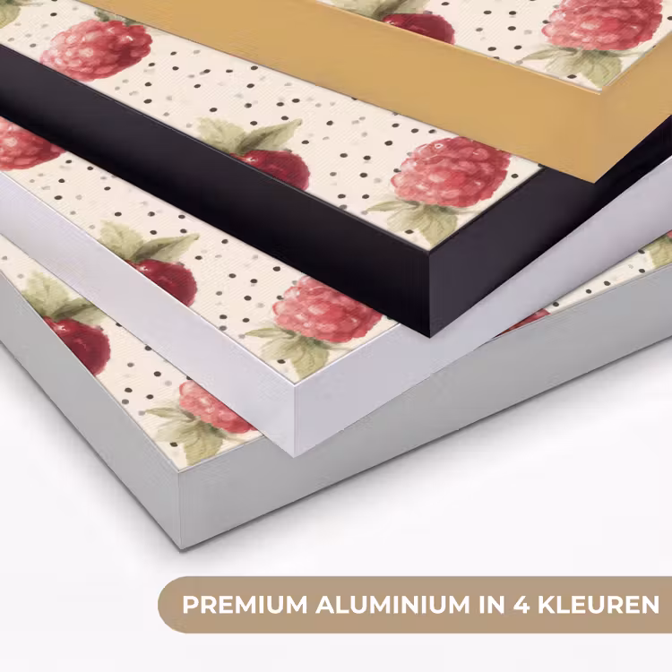 Framboos - Stippen - Rood Textielframe zwart klein 947 -USP_kleurenNL