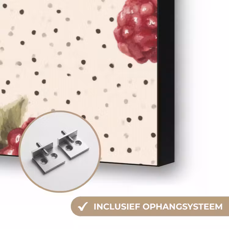 Framboos - Stippen - Rood Textielframe zwart klein 947 -USP_ophangsysteemNL