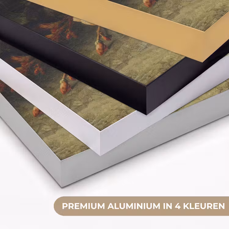 Fruit - Stilleven met druiven - Oude meesters Textielframe zwart klein -USP_kleurenNL