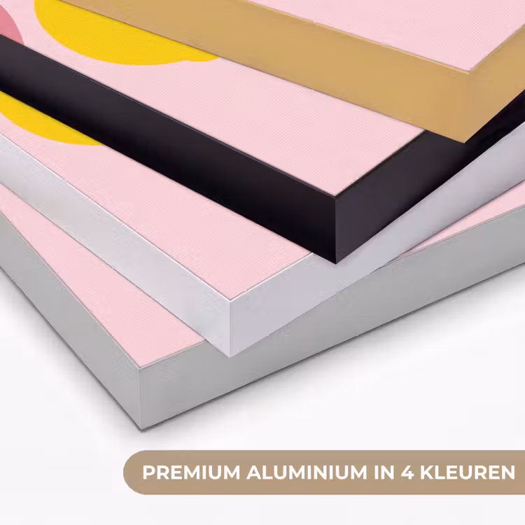 Fruit - Tak - Natuur - Abstract - Roze Textielframe zwart klein -USP_kleurenNL