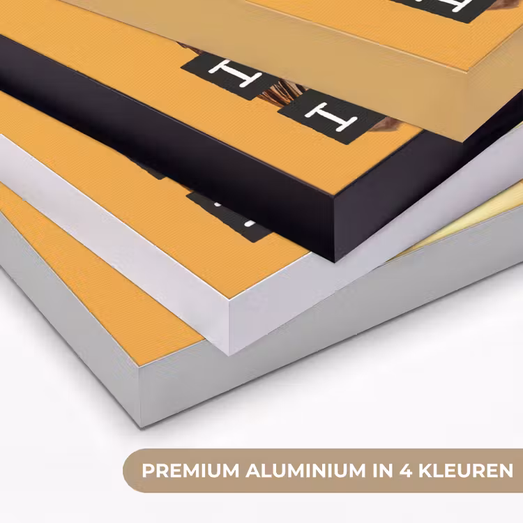 Geel - Uil - Vogel - Decoratie Textielframe zwart klein -USP_kleurenNL
