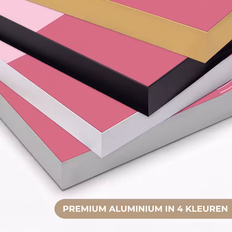 Geometrie - Patroon - Abstract - Roze - Modern Textielframe zwart klein -USP_kleurenNL