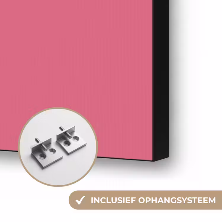 Geometrie - Patroon - Abstract - Roze - Modern Textielframe zwart klein -USP_ophangsysteemNL