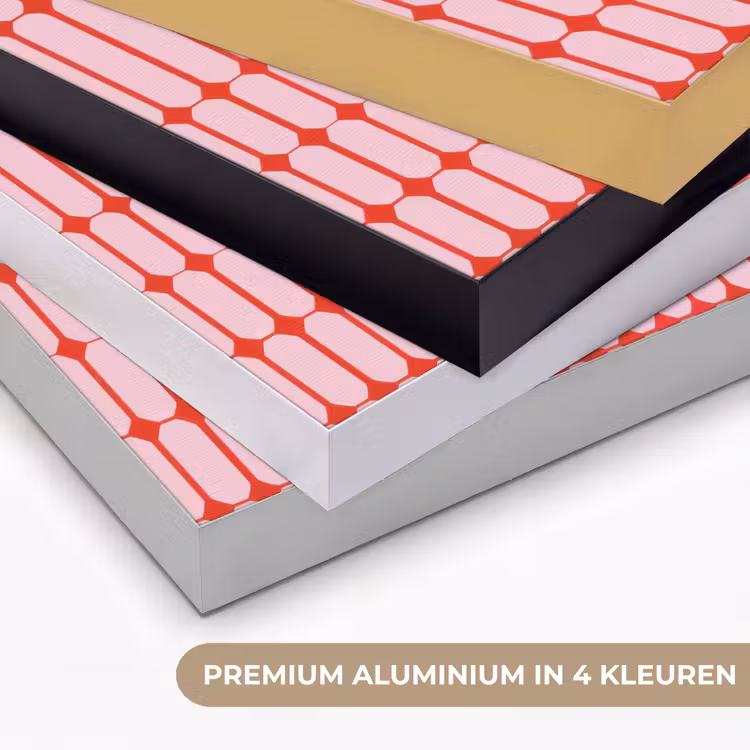 Geometrisch - Minimalistisch - Rood - Roze Textielframe zwart klein 947 -USP_kleurenNL
