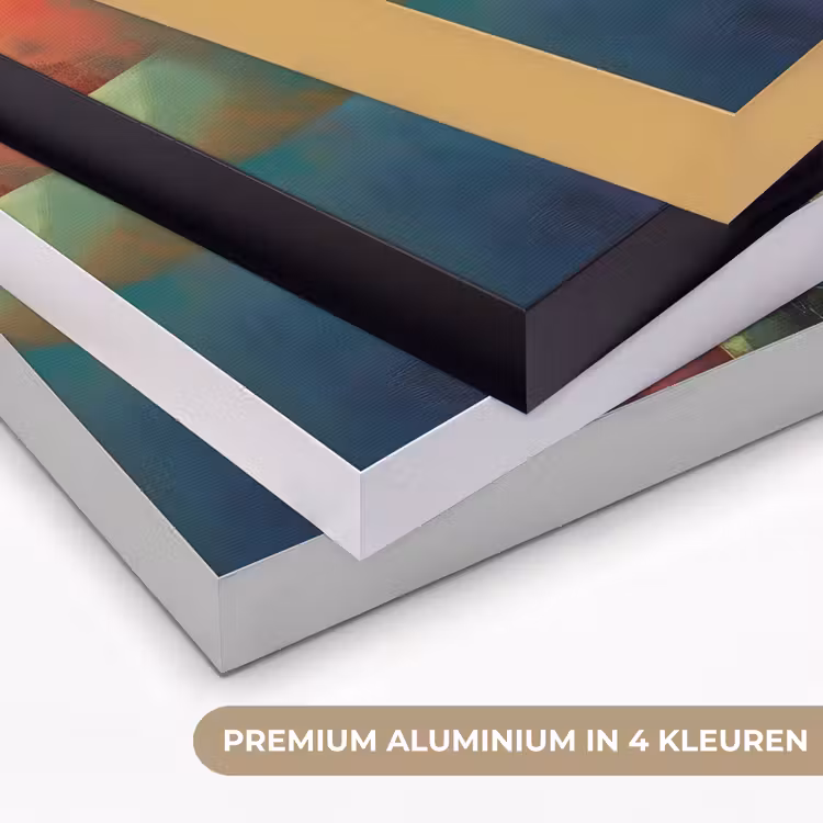 Geometrische kleurvlaken - Modern - Fantasiebloemen Textielframe zwart klein -USP_kleurenNL