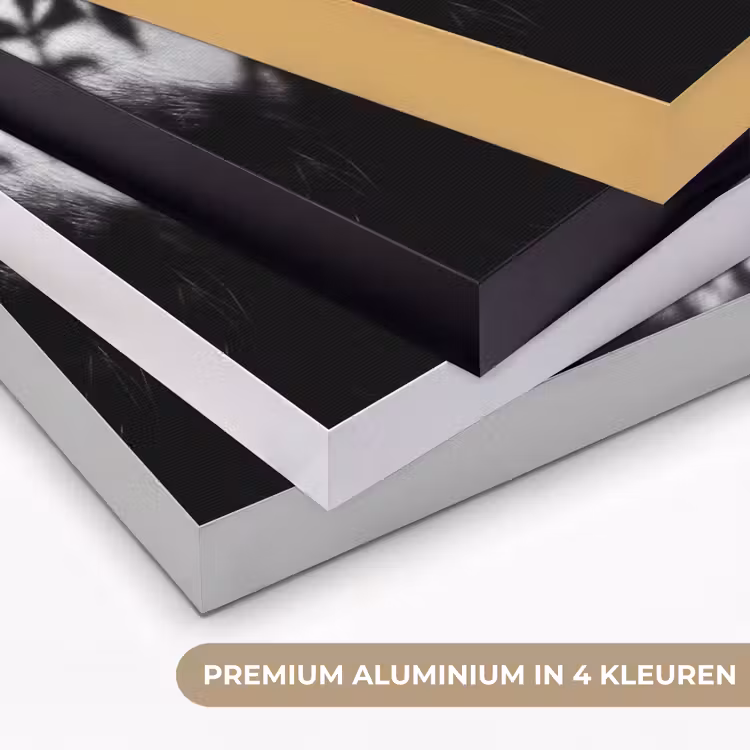 Gezicht - Schaduw - Bladeren - Zwart - Wit - Intiem Textielframe zwart klein -USP_kleurenNL