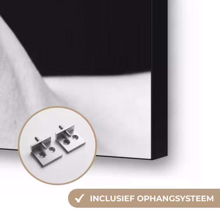 Gezicht - Schaduw - Bladeren - Zwart - Wit - Intiem Textielframe zwart klein -USP_ophangsysteemNL