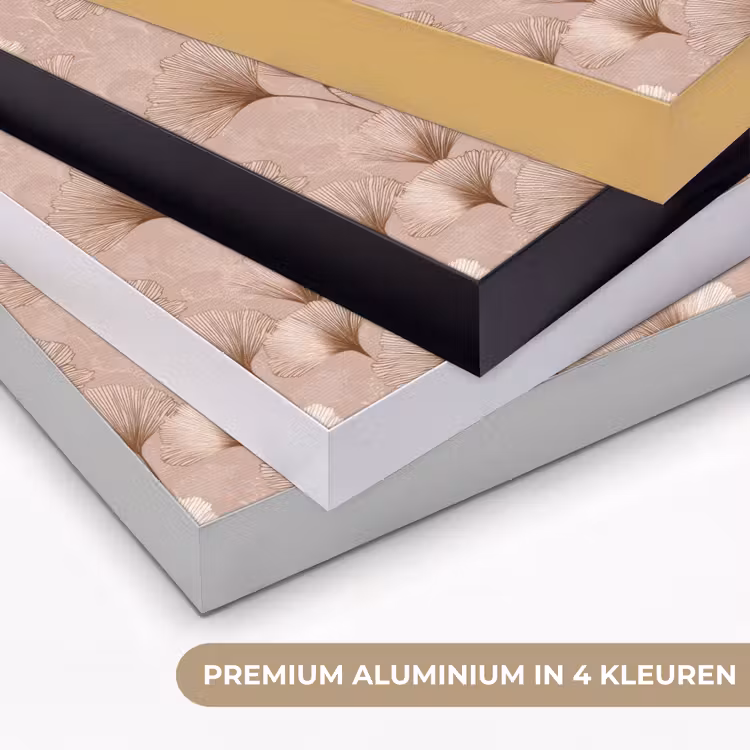 Ginkgo - Patroon - Roze Textielframe zwart klein 947 -USP_kleurenNL