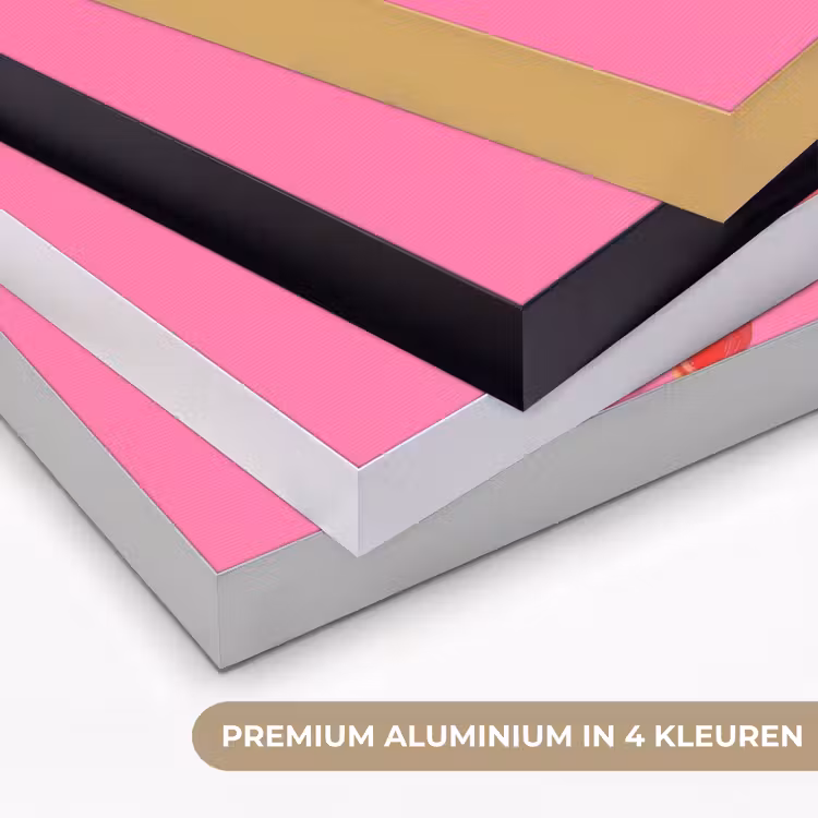 Giraf - Roze - Bril - Sjaal Textielframe zwart klein -USP_kleurenNL