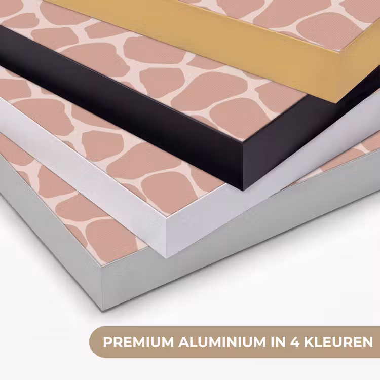 Giraffe - Lichtroze - Warm - Roze Textielframe zwart klein 947 -USP_kleurenNL