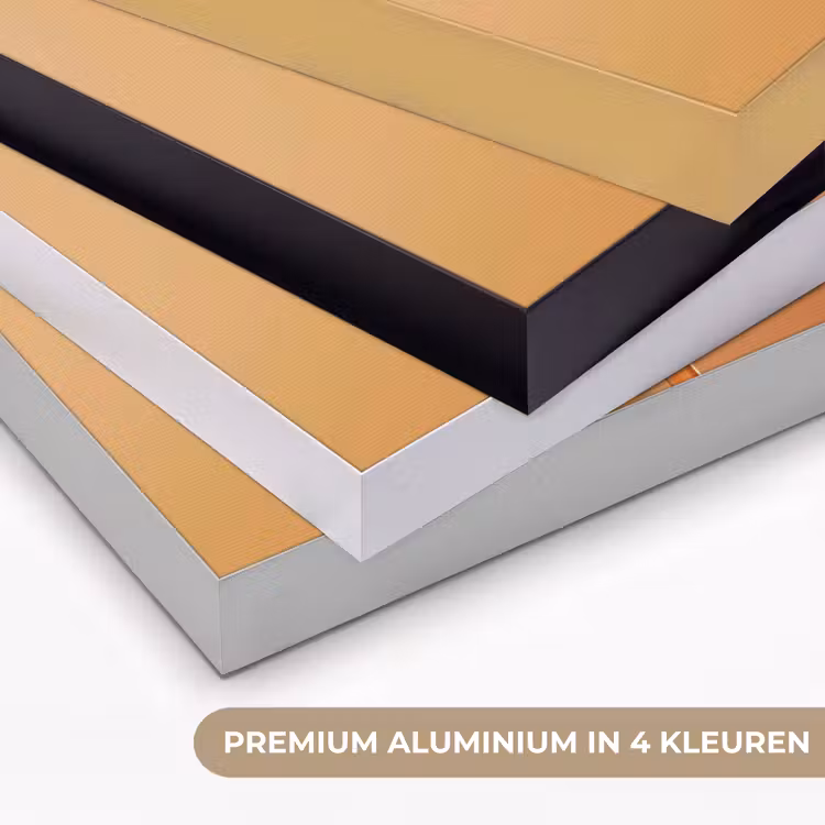 Glazen - Bloem - Oranje Textielframe zwart klein -USP_kleurenNL