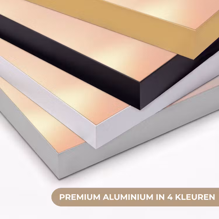 Glazen - Bloem - Roze Textielframe zwart klein -USP_kleurenNL