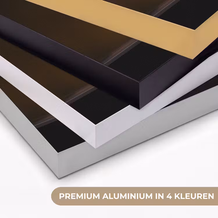 Glazen - Bloemen - Boeket - Kleuren Textielframe zwart klein -USP_kleurenNL