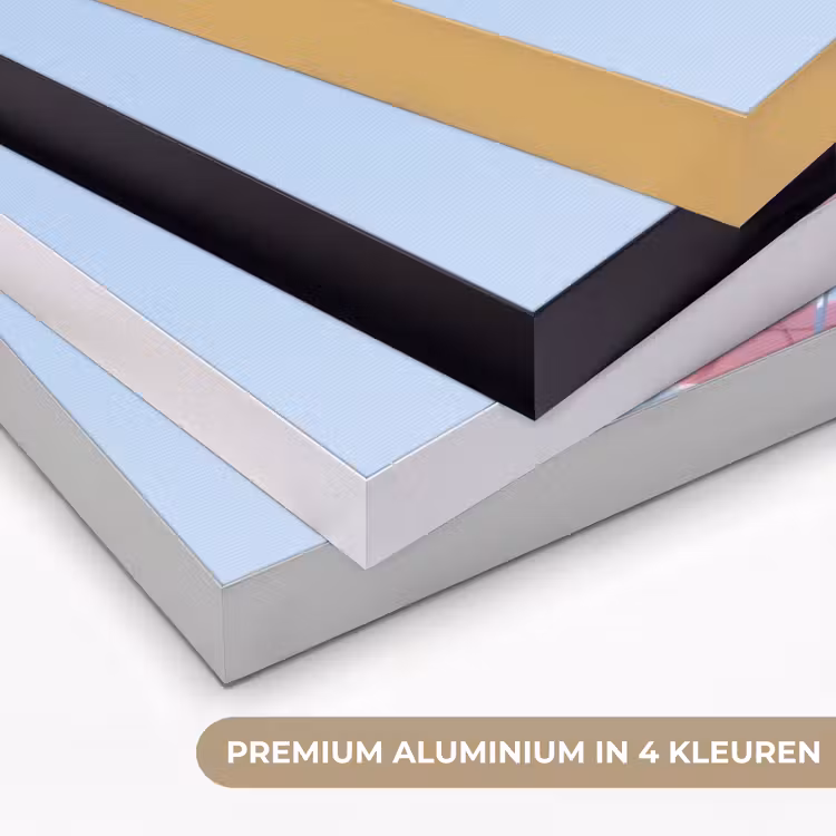 Glijbaan - Waterpark - Spiraal - Modern - Roze Textielframe zwart klein -USP_kleurenNL