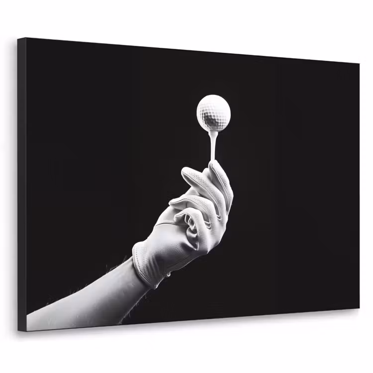 Golfbal - Zwart - Wit Textielframe zwart klein -3d