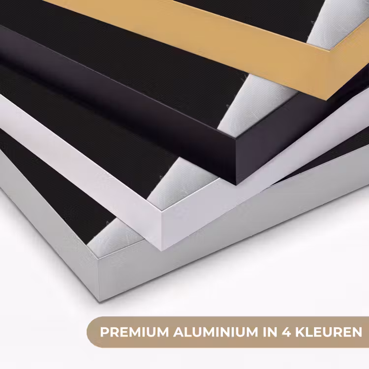 Golfbal - Zwart - Wit Textielframe zwart klein -USP_kleurenNL