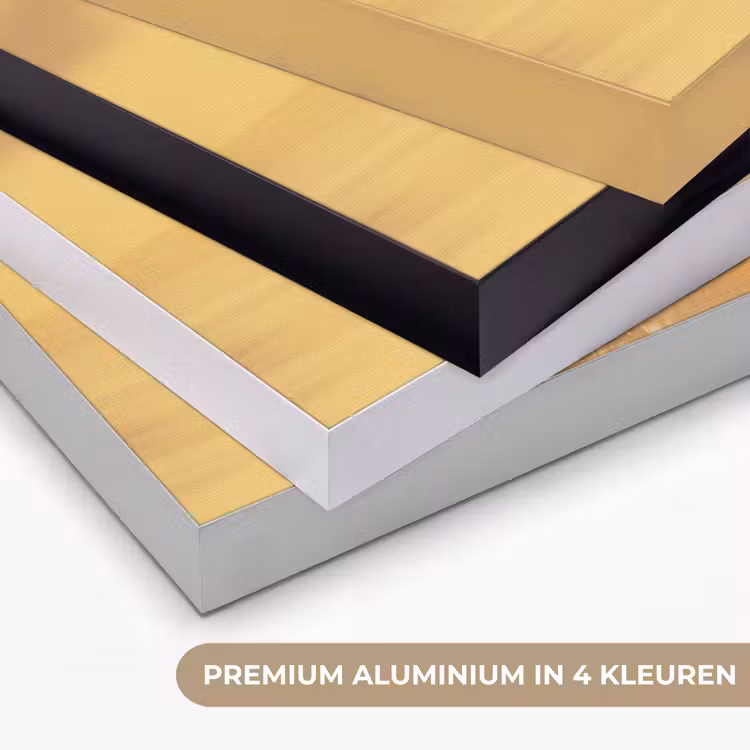 Goud - Disco - Glitter - Peer Textielframe zwart klein -USP_kleurenNL