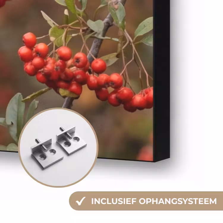 Goudvink - Bessen - Herfst - Natuur - Kleurrijk Textielframe zwart klein -USP_ophangsysteemNL
