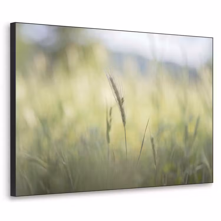 Graan - Aar - Natuur - Groen - Detail Textielframe zwart klein -3d