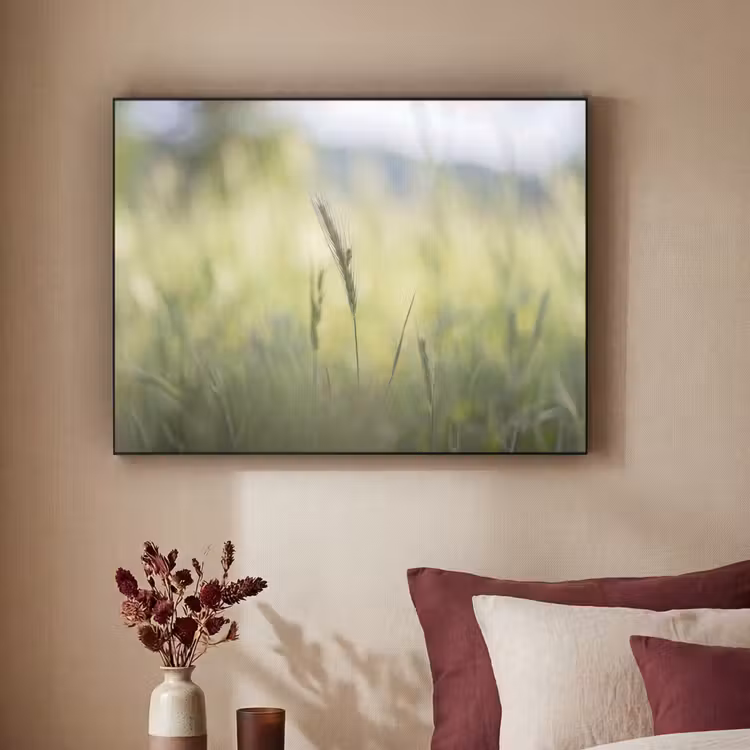 Graan - Aar - Natuur - Groen - Detail Textielframe zwart klein -sfeer1