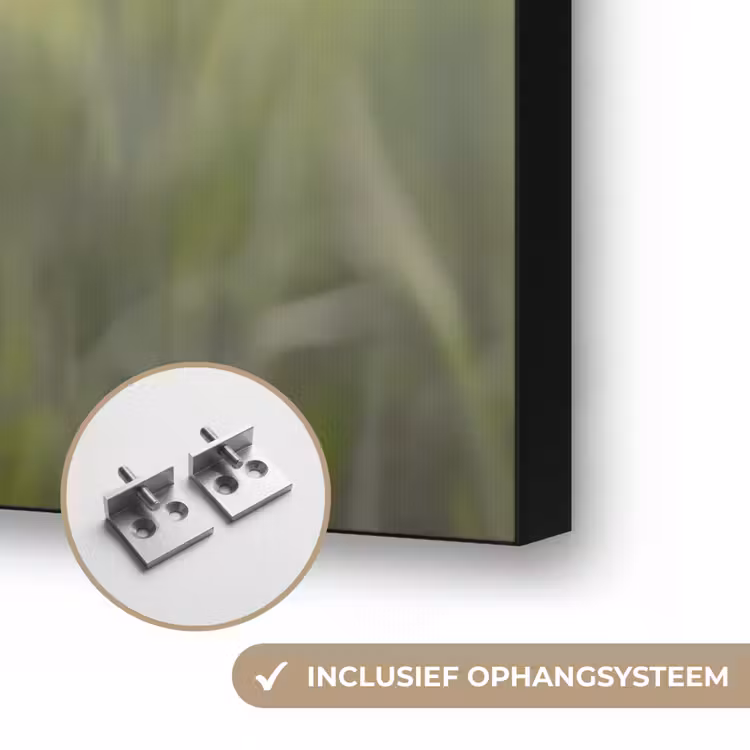Graan - Aar - Natuur - Groen - Detail Textielframe zwart klein -USP_ophangsysteemNL