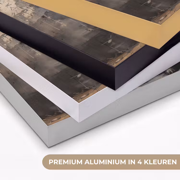 Graffiti - Hond - Ballon - Dieren Textielframe zwart klein -USP_kleurenNL