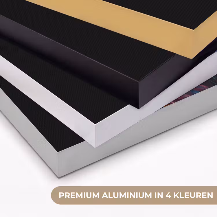 Graffiti - Leeuw - Bril - Zwart - Kleurrijk Textielframe zwart klein -USP_kleurenNL