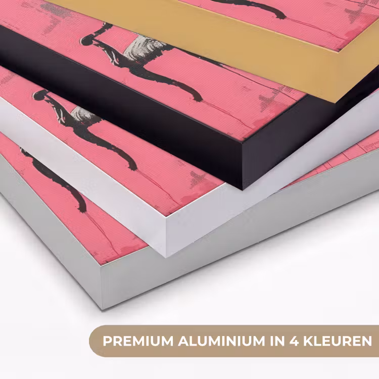 Graffiti - Roze - Street art - Vrouwen Textielframe zwart klein -USP_kleurenNL