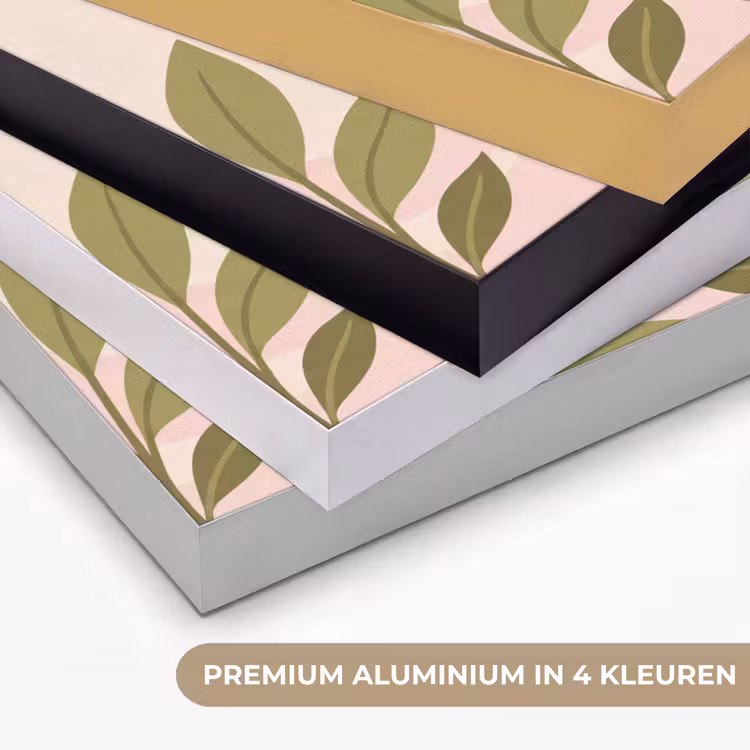 Grafisch - Bloemen - Roze Textielframe zwart klein -USP_kleurenNL