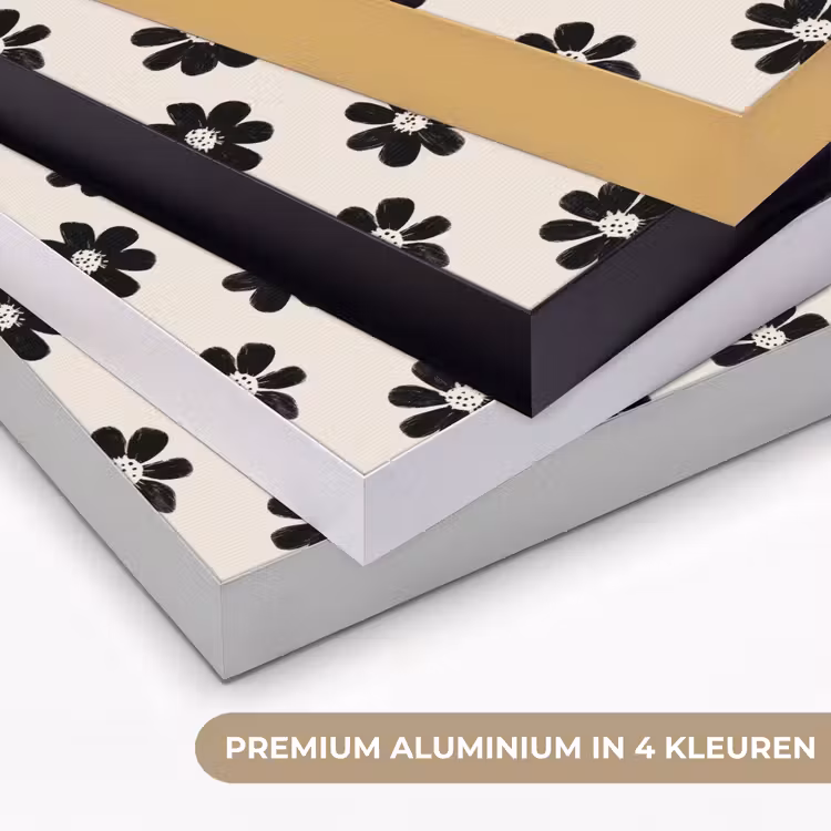 Grafisch - Madeliefjes - Zwart - Beige Textielframe zwart klein 947 -USP_kleurenNL