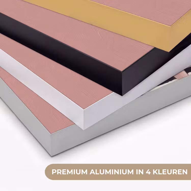 Grafisch - Vrouw - Roze Textielframe zwart klein -USP_kleurenNL