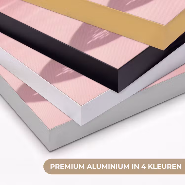 Grapefruit - Roze - Disco - Shiny Textielframe zwart klein -USP_kleurenNL