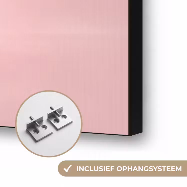 Grapefruit - Roze - Disco - Shiny Textielframe zwart klein -USP_ophangsysteemNL