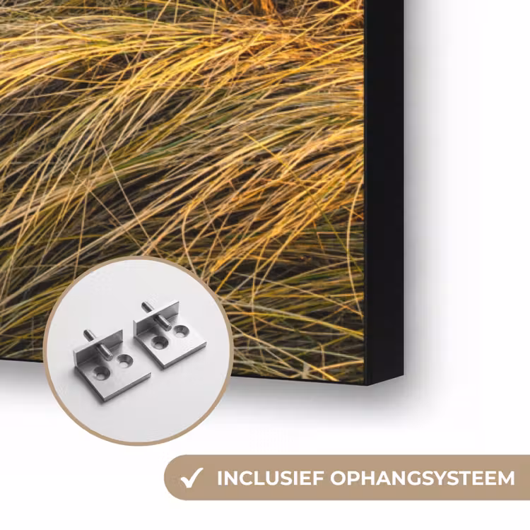 Gras - Duinen - Strand - Zomer Textielframe zwart klein -USP_ophangsysteemNL
