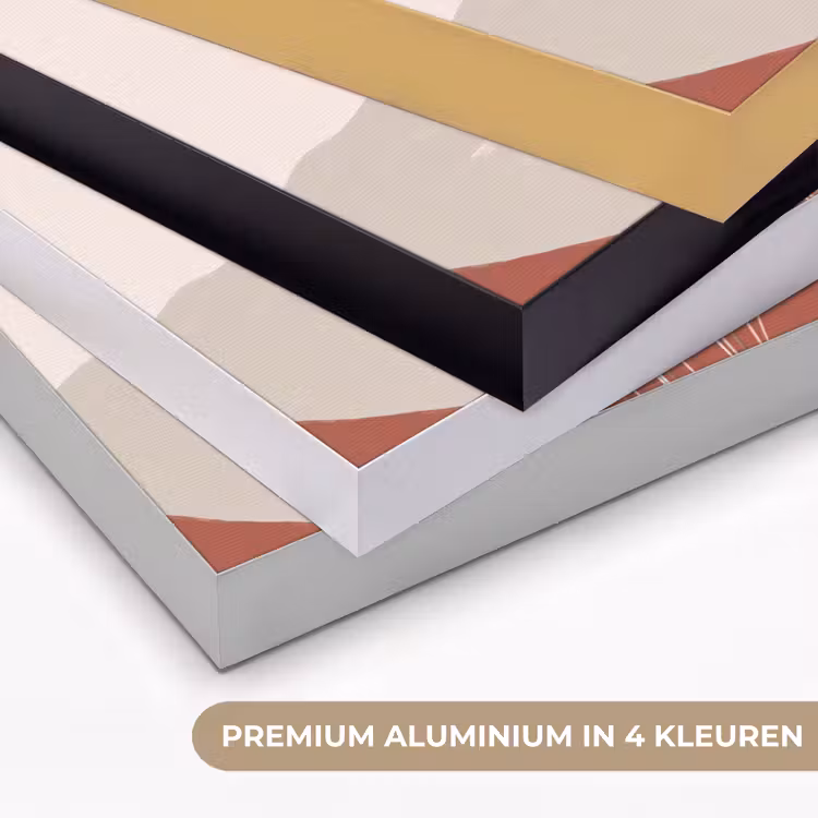 Gras - Landschap - Natuur - Abstract - Beige Textielframe zwart klein -USP_kleurenNL