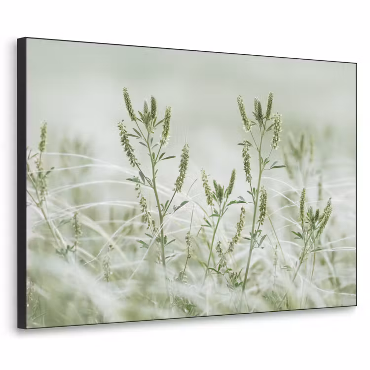 Grassen - Minimalistisch - Groen Textielframe zwart klein -3d