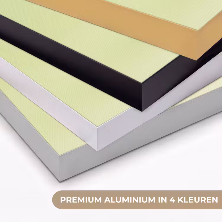 Groen - Disco - Decoratie - Appel Textielframe zwart klein -USP_kleurenNL