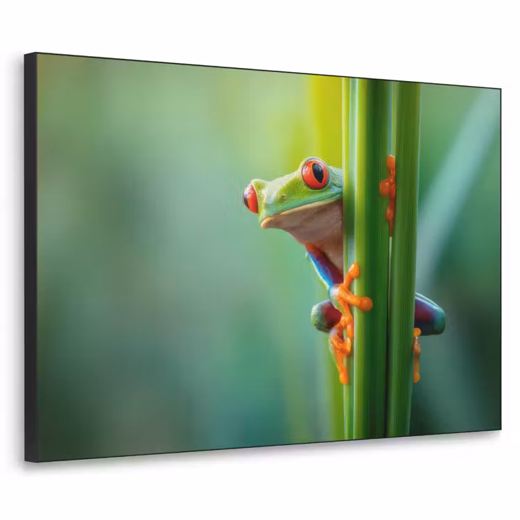 Groene kikker - Nieuwsgierig - Gras Textielframe - compleet frame klein -3d