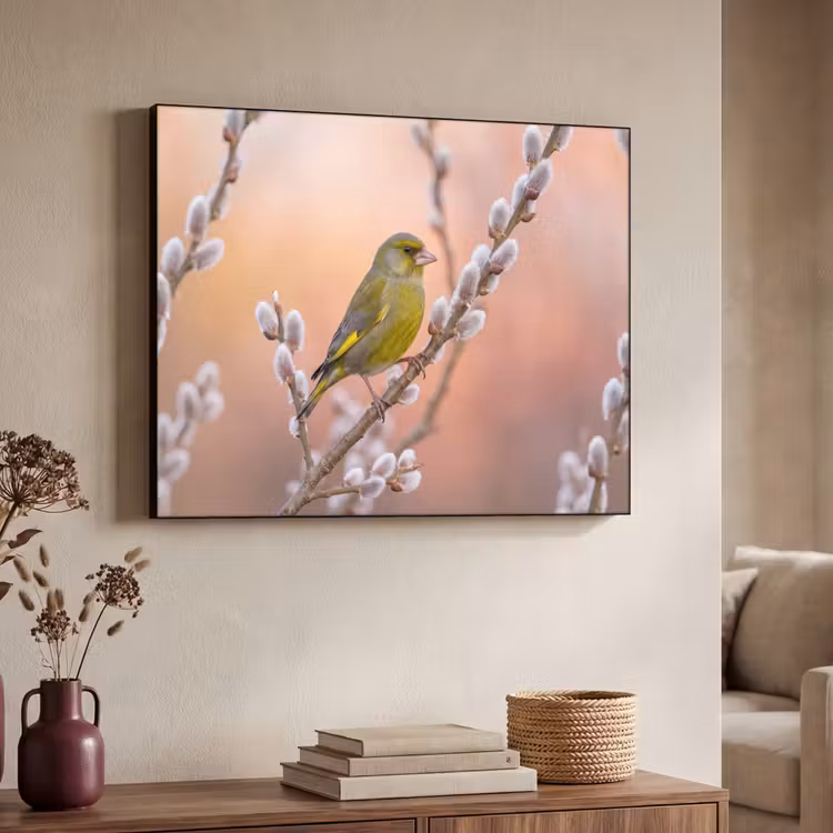 Groenling - Katjes - Lente - Natuur - Zacht Textielframe zwart klein -sfeer3