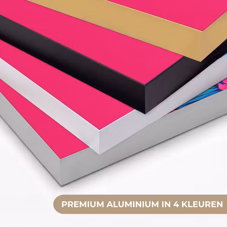 Haan - Kleurrijk - Kimono - Roze Textielframe zwart klein -USP_kleurenNL