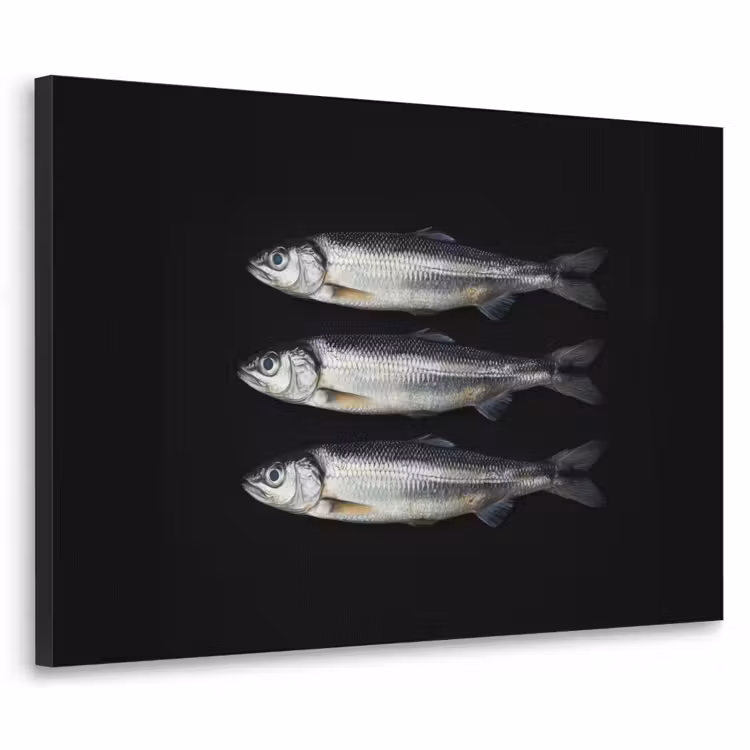 Haring - Vissen - Zwart Textielframe zwart klein -3d