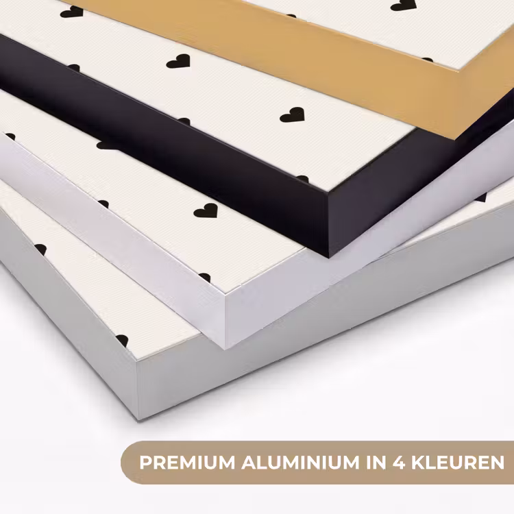 Harten - Liefde - Zwart - Wit Textielframe zwart klein 947 -USP_kleurenNL