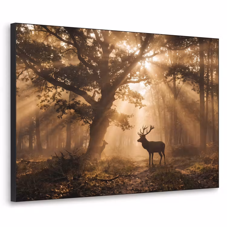 Hert - Bos - Mistig - Natuur - Goud Textielframe zwart klein -3d