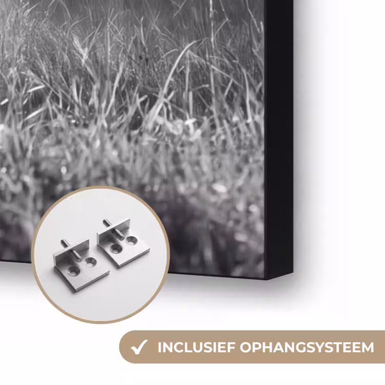 Hert - Bos - Zonnestralen - Zwart-wit - Natuur Textielframe zwart klein -USP_ophangsysteemNL