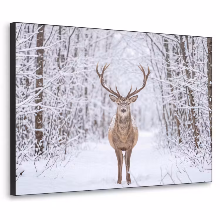 Hert - Winter - Bos - Natuur - Wit Textielframe zwart klein -3d