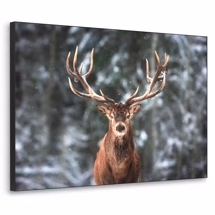 Hert - Winter - Sneeuw - Bos - Natuur - Dier Textielframe - compleet frame klein -3d