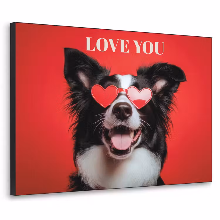 Hond - Hartjesbril - Loveyou - Rood Textielframe zwart klein -3d