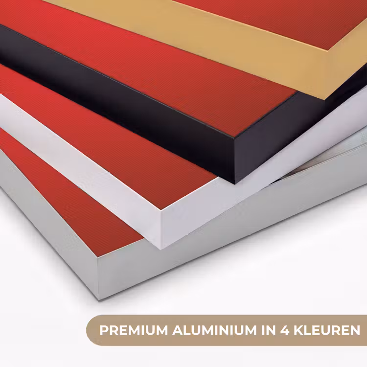 Hond - Hartjesbril - Loveyou - Rood Textielframe zwart klein -USP_kleurenNL