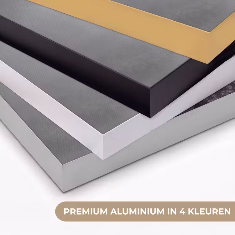 Hond - Krullen - Zonnebril - Wijn Textielframe zwart klein -USP_kleurenNL