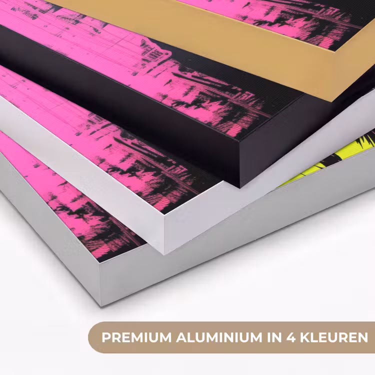 Hond - Zonnebril - Roze - Art Textielframe zwart klein -USP_kleurenNL